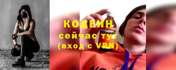 хмурый Нижний Тагил