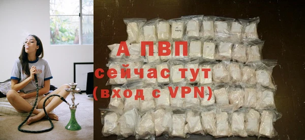 гашик Чита