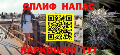 стаф Балахна
