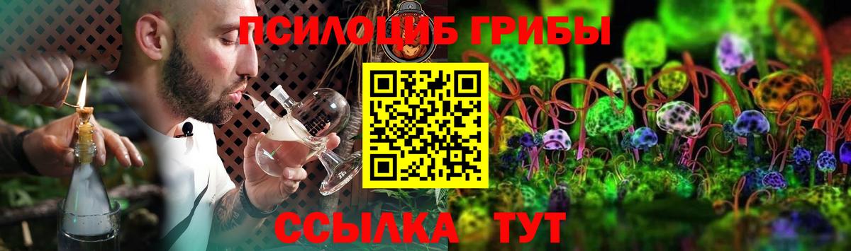 Псилоцибиновые грибы мухоморы Великие Луки