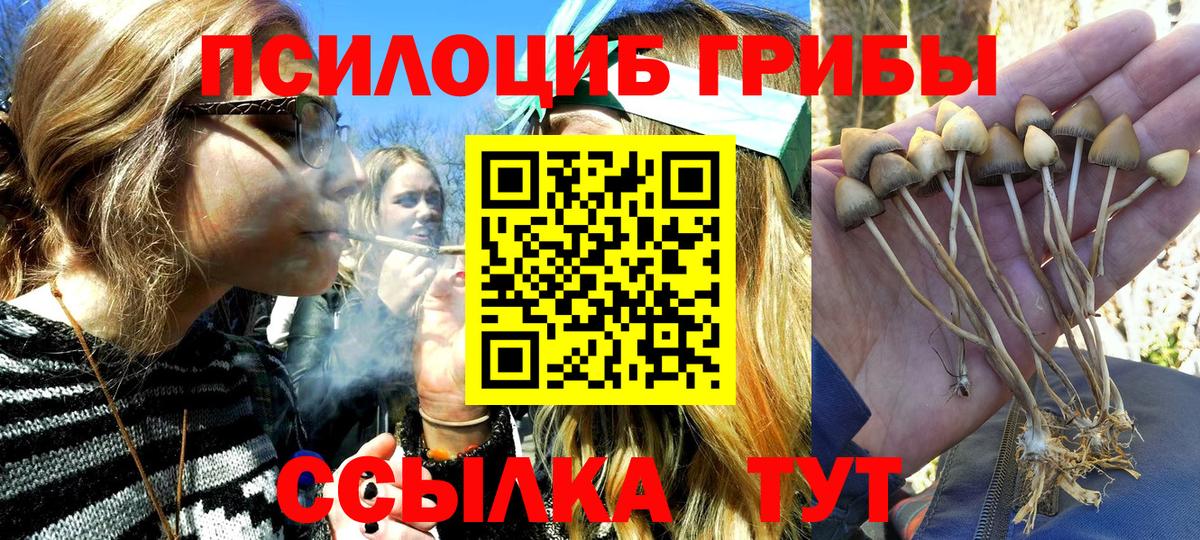 Галлюциногенные грибы GOLDEN TEACHER  где можно купить наркотик  Псилоцибиновые грибы Cubensis  Великие Луки 