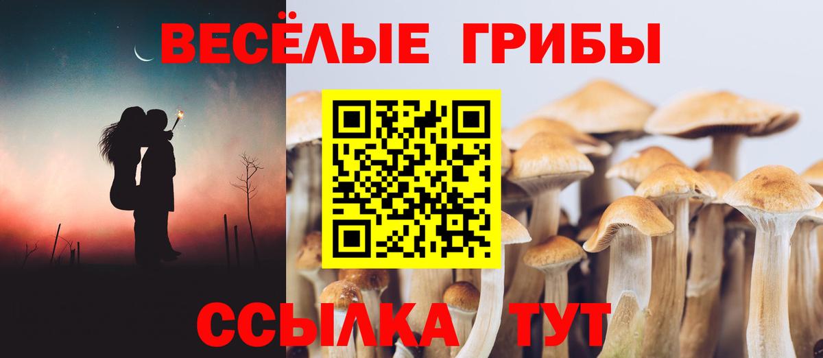 Псилоцибиновые грибы ЛСД Великие Луки